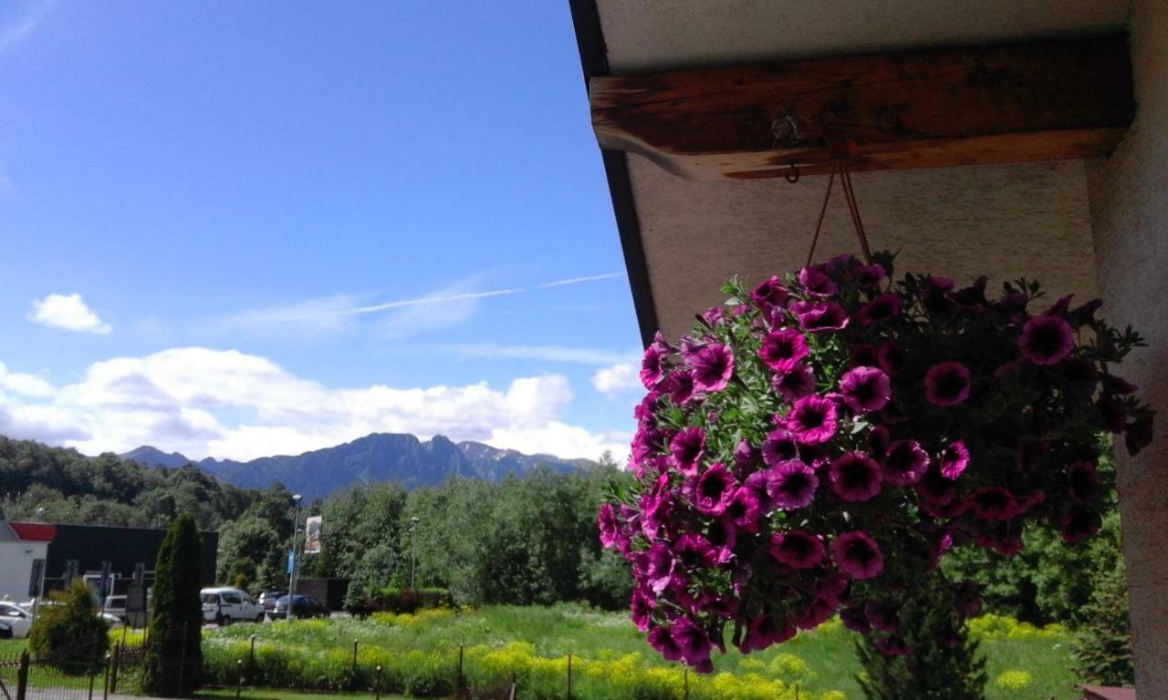 Pokoje Goscinne Agusia Zakopane Ngoại thất bức ảnh